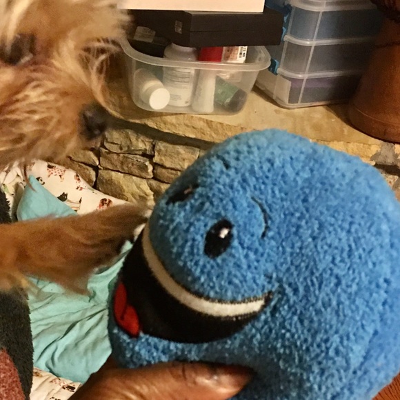 Meet your Posher, Na - Picture 11 of 11